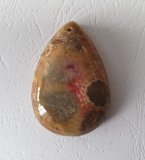 Подвеска из аммонита, 5 см